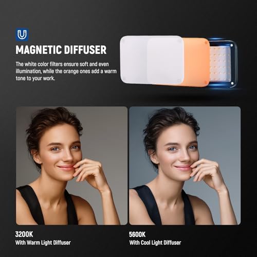 NEEWER BASICS 2 Pack LED Video Panel Light, Video Conference Lighting Kit with Desktop Tripod Stands/Filters for Webcam Desk Computer Laptop Zoom Call Makeup Recording Selfie Streaming, Dimmable, BP66