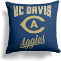 The Northwest Company Officially Licensed NCAA Home Field Advantage Woven Tapestry Throw Blanket, 48" x 60"