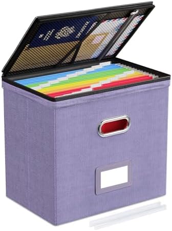 Oterri File Box Small 1-Pack Mesh Pockets Hanging Organizer for Letter-Size | Dustproof Lid. 3 Mesh Pockets. Collapsible Scratch-Resistant GRS Linen. Slide Rails. Office, Home, Dorm
