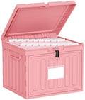 Oterri Lockable Plastic File Box with Lid for Letter-Size | Hanging File Folders Not Included. Pink, Large 1-Pack. Home, Office, Classroom, Dorm, Tax, Under Bed, Filing Cabinet.
