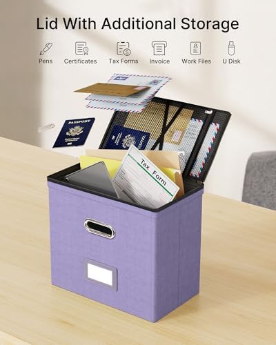 Oterri File Box Small 1-Pack Mesh Pockets Hanging Organizer for Letter-Size | Dustproof Lid. 3 Mesh Pockets. Collapsible Scratch-Resistant GRS Linen. Slide Rails. Office, Home, Dorm