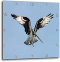 3dRose Wall Clock Silent - 10 inch - Image of Beautiful Osprey in Flight - Lens Art by Florene - Birds II