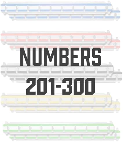Barska Labeled Key Shelves with 201-300 Numbered Hooks for Key Cabinets
