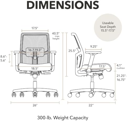 HON Ignition 2.0 Low Back Ergonomic Office Chair, Desk Chair, Salamander