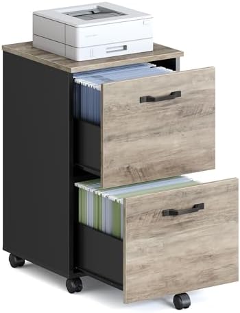 VASAGLE 2-Drawer File Cabinet, Small Rolling Filing Cabinet