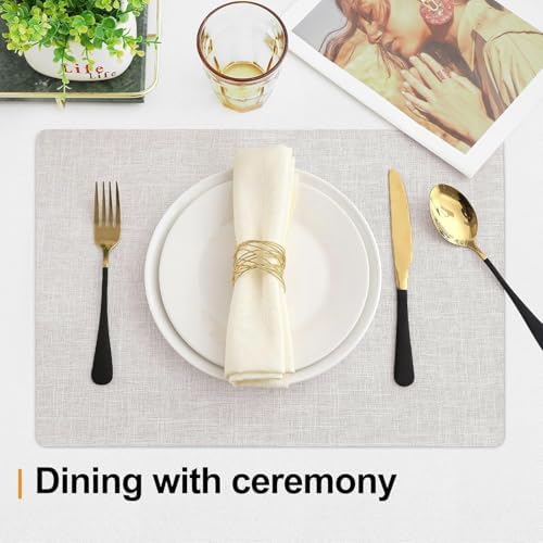 Homaxy Cloths Placemats for Dining Table Set of 12, 13" x 19", Beige