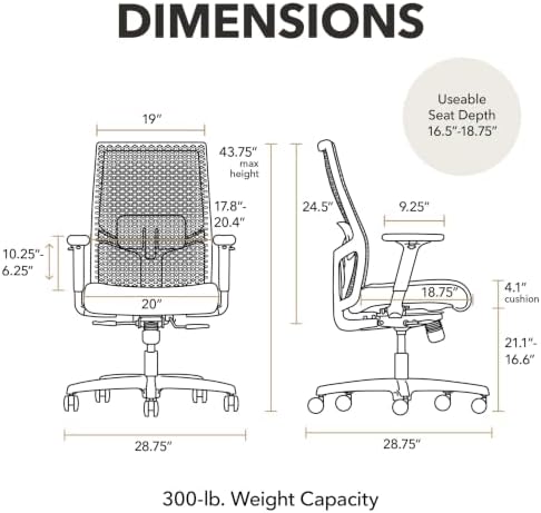 HON Ignition 2.0 ReActiv Ergonomic Office Chair, Lumbar Support, Steel
