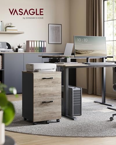 VASAGLE 2-Drawer File Cabinet, Small Rolling Filing Cabinet