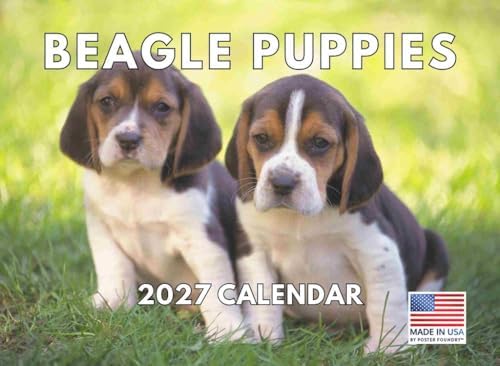 Beagle Puppy Calendar 2027 Monthly Wall Calender 12 Month
