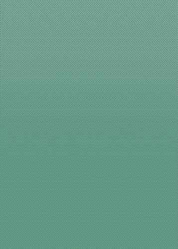 Teacher Created Resources Eucalyptus Green Better Than Paper Bulletin Board Roll (TCR77464)