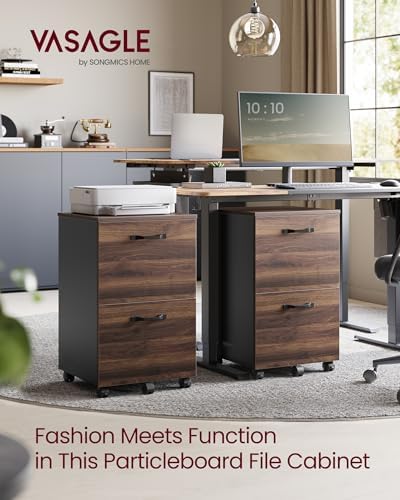 VASAGLE 2-Drawer File Cabinet, Small Rolling Filing Cabinet