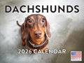 Dachshund Calendar 2026 Wall Monthly Dachshunds Gifts For Dachshund Lovers Women Men Mom Dad | American Made In The USA