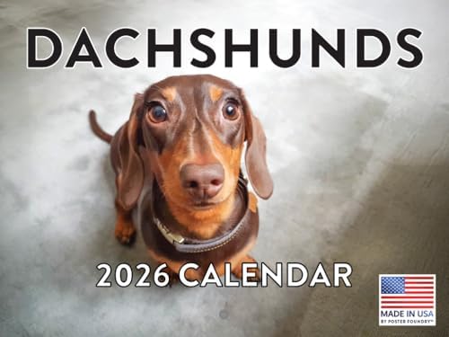 Dachshund Calendar 2026 Wall Monthly Dachshunds Gifts For Dachshund Lovers Women Men Mom Dad | American Made In The USA