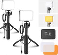 NEEWER BASICS 2 Pack LED Video Panel Light, Video Conference Lighting Kit with Desktop Tripod Stands/Filters for Webcam Desk Computer Laptop Zoom Call Makeup Recording Selfie Streaming, Dimmable, BP66