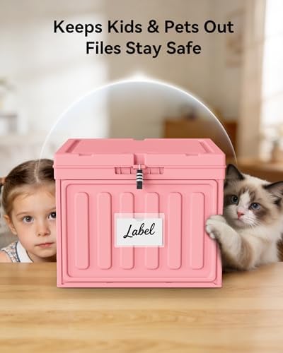 Oterri Lockable Plastic File Box with Lid for Letter-Size | Hanging File Folders Not Included. Pink, Large 1-Pack. Home, Office, Classroom, Dorm, Tax, Under Bed, Filing Cabinet.