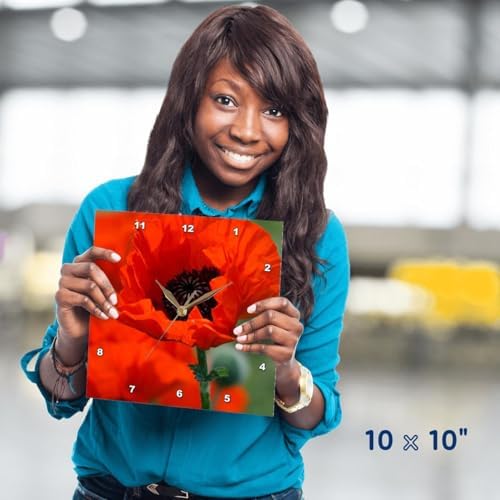 3dRose dpp_29205_1 Beautiful Red Poppy-Wall Clock, 10 by 10-Inch