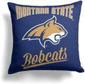 The Northwest Company Officially Licensed NCAA Home Field Advantage Woven Tapestry Throw Blanket, 48" x 60"