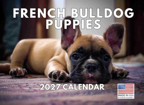 French Bulldog Puppy Calendar 2027 Frenchie Monthly Wall Calender 12 Month