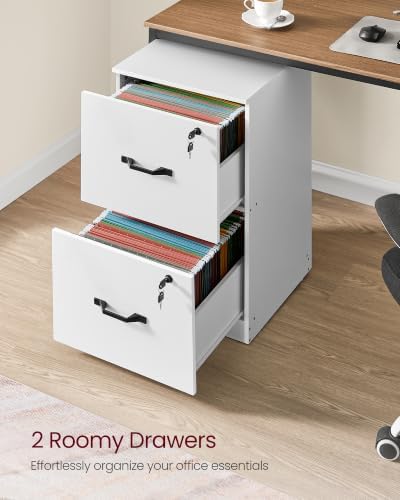 VASAGLE 2 Drawer File Cabinet with Locks, for A4, Letter Sized Documents