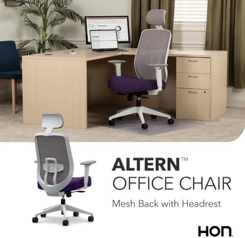 HON Altern Ergonomic Office Chair, Office Desk Computer Chair, Iris