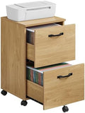 VASAGLE 2-Drawer File Cabinet, Small Rolling Filing Cabinet