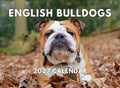 English Bulldog Calendar 2027 Bull Dog Monthly Wall Calender 12 Month