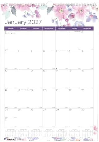 Blueline® 2027 Colorful Monthly Wall Calendar, 12 Months, January to December, Gold Twin-Wire Binding, 12" x 17", Passion (C173126)