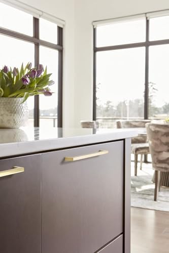 Amerock | Cabinet Pull | Golden Champagne | 8-13/16 inch (224 mm) Center to Center | Monument | 1 Pack | Drawer Pull | Drawer Handle | Cabinet Hardware