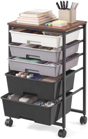 VASAGLE Rolling Cart with Drawers,5 Drawers Storage Cart, Black
