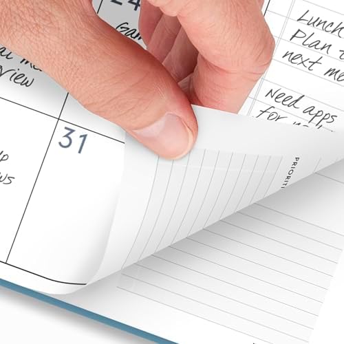 AT-A-GLANCE 2026 Planner, Weekly & Monthly, 8.25" x 11", Large, Contemporary Lite, Sky Blue (7095XL3826)