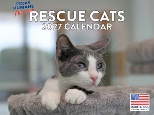 Rescue Cat Calendar 2027 Monthly Wall Calender 12 Month