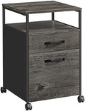 VASAGLE 2 Drawer File Cabinet, Rolling Printer Stand