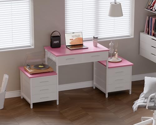 Pamray 63 Inch Computer Desk with 8 Drawers for Study Writing Work