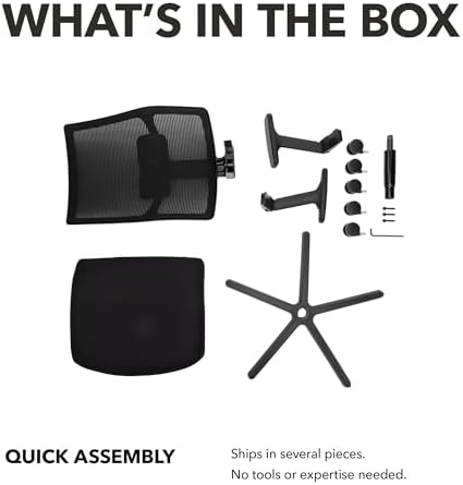 HON Ignition 2.0 Ergonomic Office Chair, Lumbar Support, Salamander