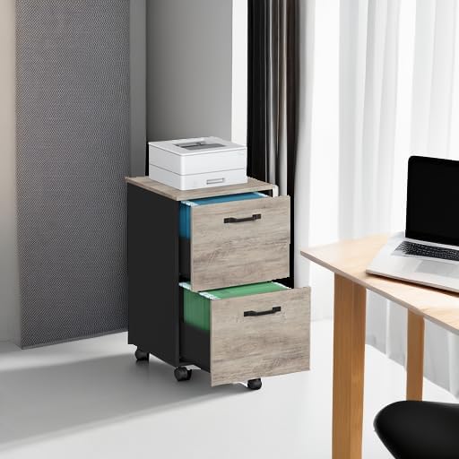 VASAGLE 2-Drawer File Cabinet, Small Rolling Filing Cabinet