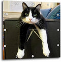 3dRose dpp_23450_3 Black and White Cat with Nothing To-Do Wall Clock, 15 by 15-Inch