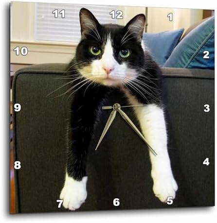 3dRose dpp_23450_2 Black and White Cat with Nothing To-Do Wall Clock, 13 by 13-Inch