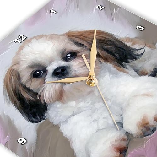 3dRose Wall Clock Silent - 13 inch - Shih Tzu Puppy - Dogs Shihtzu