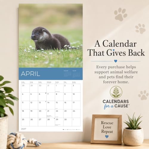 2027 Rescue Wildlife Wall Calendar, 12 x 24 Hanging Pacific Waters Press