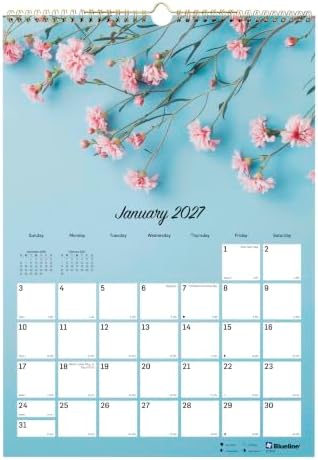 Blueline® 2027 Colorful Monthly Wall Calendar, 12 Months, January to December, Gold Twin-Wire Binding, 12" x 17", Romantic (C173122)
