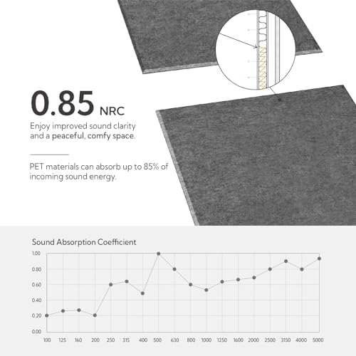 Olanglab Acoustic Wall Panels, 10 Pack, 48" x 24", Plain Dark Gray