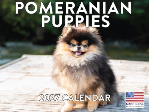 Pomeranian Puppy Calendar 2027 Monthly Wall Calender 12 Month