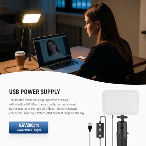 NEEWER BASICS 2 Pack LED Video Panel Light, Video Conference Lighting Kit with Desktop Tripod Stands/Filters for Webcam Desk Computer Laptop Zoom Call Makeup Recording Selfie Streaming, Dimmable, BP66