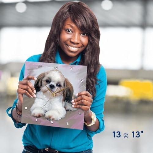 3dRose Wall Clock Silent - 13 inch - Shih Tzu Puppy - Dogs Shihtzu