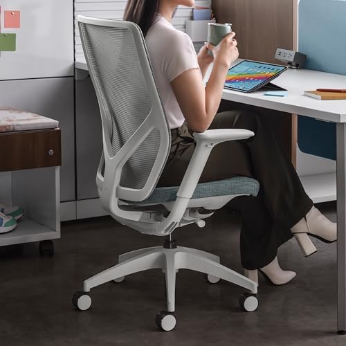 HON Flexion Ergonomic Office Chair, Lumbar Support, Office Desk, Darkness