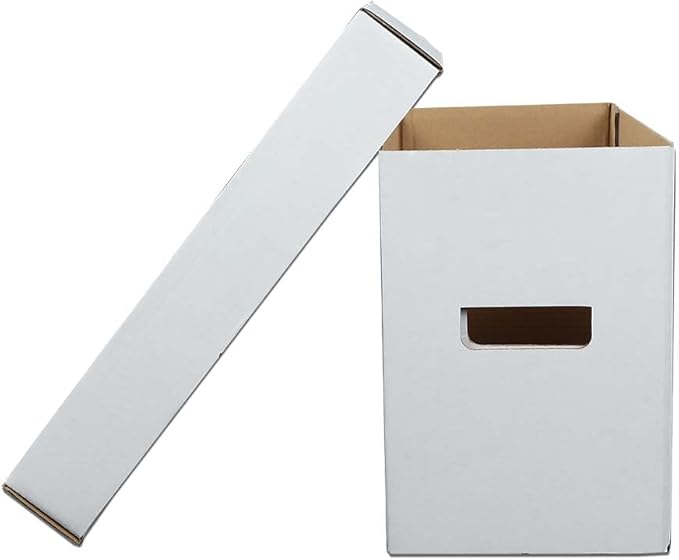PIT66 10 Pcs Comic Books Storage Boxes With Lids Short Holds 150-175 Stackable Durable Archive White Comic Book Storage