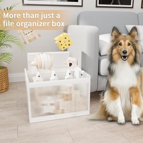 Bamboo Hanging File Organizer, Desktop File Box with Lids, 2 Pack, White | Removable Lid, Clear Acrylic Side Panels, 4 Hanging Folders Included, Helps Reduce Dust, Letter & Legal Size, Easy Assembly