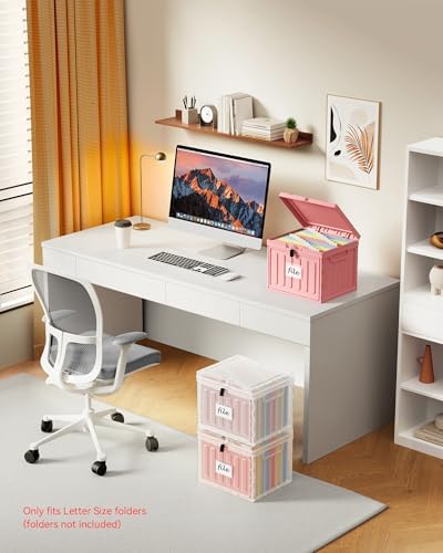 Oterri Lockable Plastic File Box with Lid for Letter-Size | Hanging File Folders Not Included. Clear, Large 2-Pack. Home, Office, Classroom, Dorm, Tax, Under Bed, Filing Cabinet.