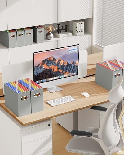 Oterri Portable Collapsible Cardboard File Box with Handle for Letter-Size | 6-Pack. Stainless Steel Handle. Label Stickers Included. Fits Letter Folders (Not Included). Home, Office, School, Dorm, Tax.