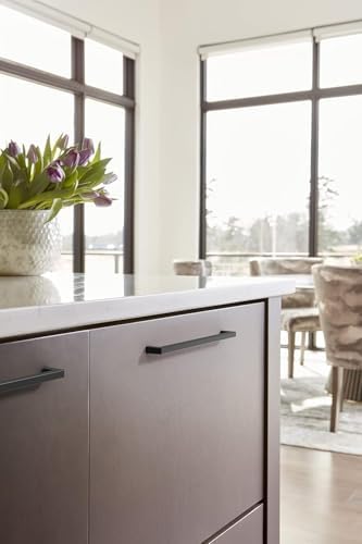 Amerock 10-1/16" Monument Matte Black Drawer Pull